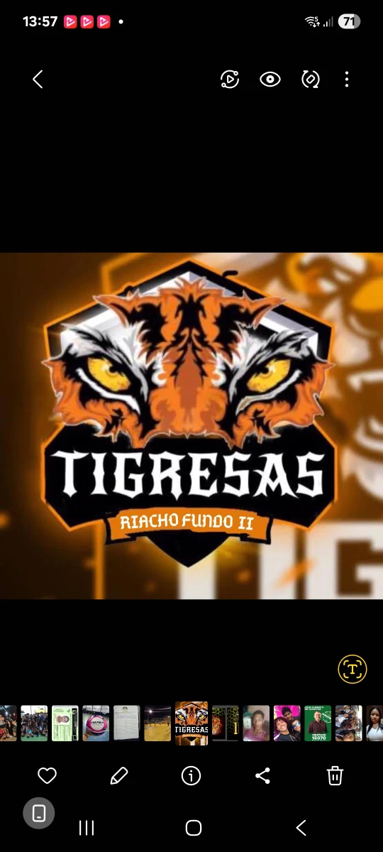 Logomarca da equipe TIGRESAS